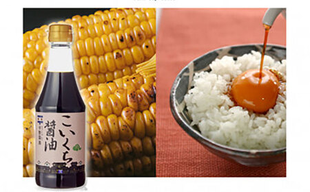 使い分けが楽しい！4種のお醤油 普段使いセット･小 島根県松江市/平野醤油 [ALCA003] 醤油