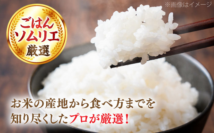 【令和7年産】【数量限定50個】3年連続特A取得！島根県産「プレミアムつや姫たたら焔米（特別栽培米・雲南市）」10kg(2kg×5) ブランド米 新米 おすすめ 人気 島根県松江市/有限会社藤本米穀店 [ALCG007] 米