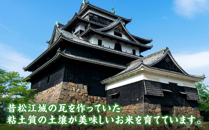 【令和7年産】松江市産きぬむすめ「ながえ米」20kg(2kg×10) 島根県松江市/有限会社藤本米穀店 [ALCG017]