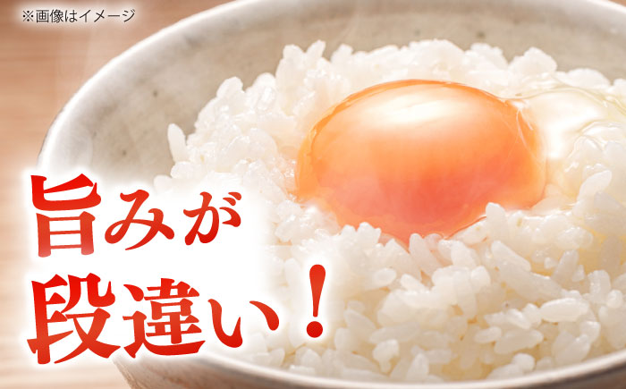 島根が誇るブランド米！仁多米「大峠源流米」10kg（5kg×2）島根県松江市/有限会社藤本米穀店 [ALCG031]