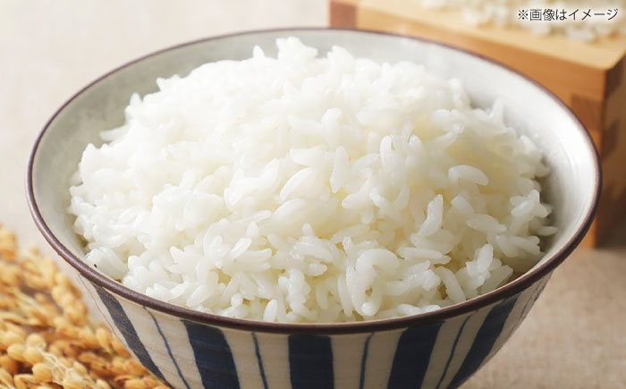 令和7年産 島根県産「出雲神名火きぬむすめ」20kg（5kg×4）島根県松江市/有限会社藤本米穀店 [ALCG042]