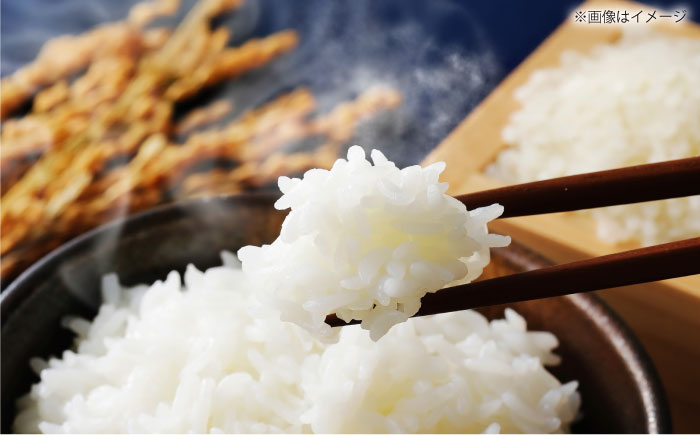 【3回定期便】島根県産「うやま米 コシヒカリ（雲南市吉田町）」2kg（2kg×1）島根県松江市/有限会社藤本米穀店 [ALCG059]