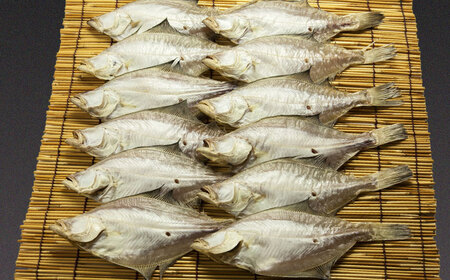 ほかほかのご飯にぴったり！恵曇エテカレイ一夜干しセット×12尾 島根県松江市/有限会社丸三商店 [ALCP003] 干物