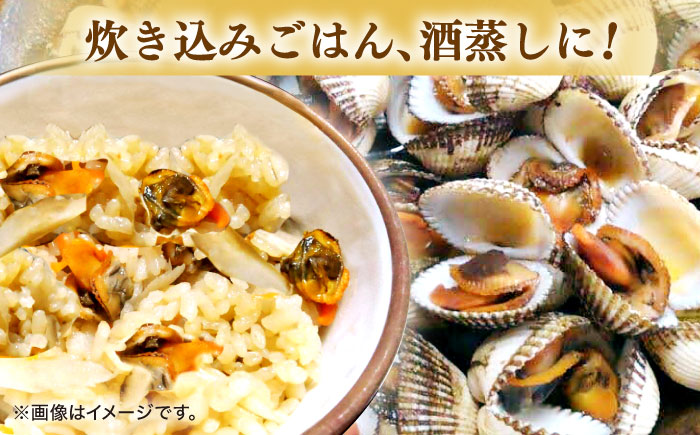 【数量限定50個】山陰の冬の味覚！中海産 赤貝(サルボウガイ)1kg 島根県松江市/道の駅本庄企業組合 [ALCW001] 魚貝
