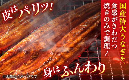 うなぎ老舗専門店のパリっとふっくら国産うなぎ 蒲焼1尾(蒲焼のタレ付き) 素焼1尾(藻塩付き) 島根県松江市/株式会社山美世商会 [ALDC002] うなぎ