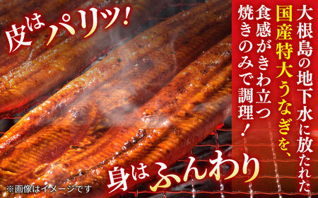 うなぎ老舗専門店のパリっとふっくら 紅白うなぎ 蒲焼・素焼半身　(真空パック/秘伝のタレ・藻塩付き) 島根県松江市/株式会社山美世商会 [ALDC004]