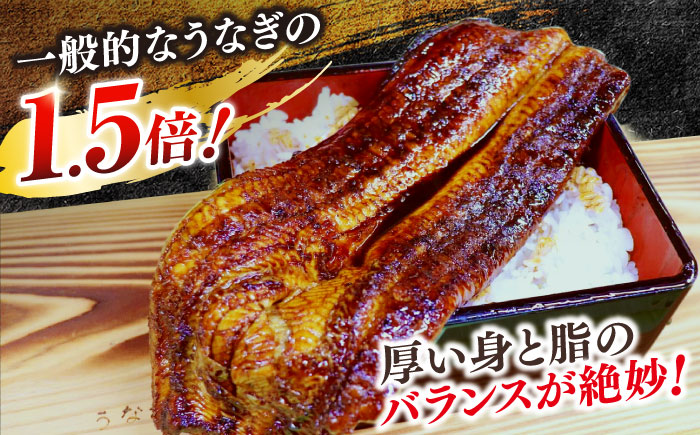 【12回定期便】うなぎ老舗専門店のパリっとふっくら 紅白うなぎ 蒲焼・素焼半身　(真空パック/秘伝のタレ・藻塩付き) 島根県松江市/株式会社山美世商会 [ALDC018]