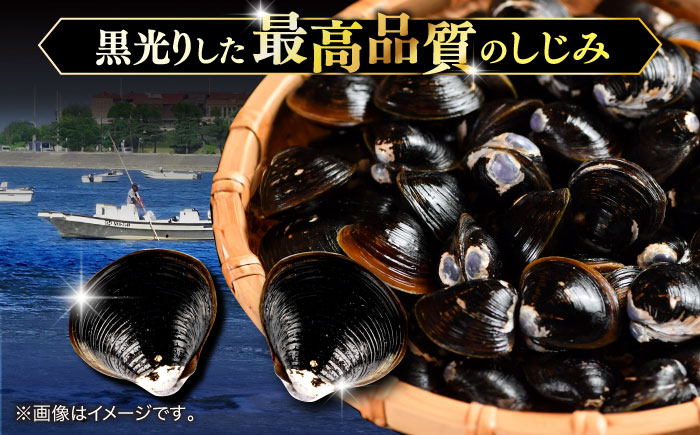 砂抜き不要！宍道湖産 活ヤマトシジミ 生しじみ 1kg 島根県松江市/株式会社漁師村 [ALDN005]