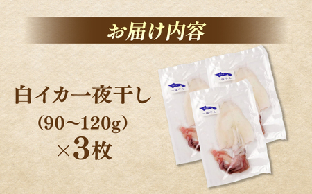 白イカ(ケンサキイカ)の一夜干し3枚セット 島根県松江市/海ひこ株式会社 [ALDY006] 干物