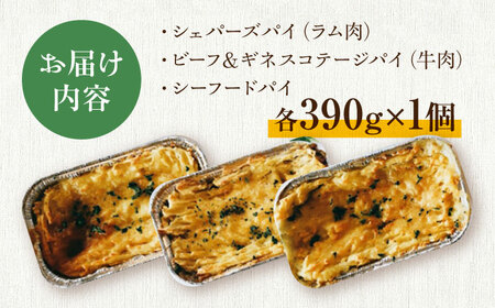 パイ3種テイスティングセット 島根県松江市/アーティストリー&アイ合同会社（巨人のシチューハウス） [ALEB001] 惣菜 レトルト