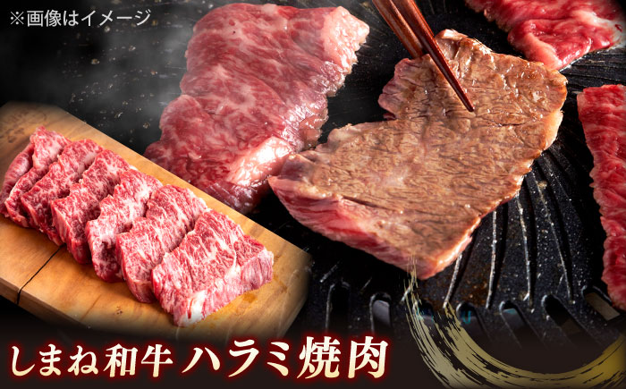 極上厳選！受賞歴多数 しまね和牛 ハラミ焼肉・牛タンのセット！計740g 島根県松江市/株式会社O.R.C [ALEF015]