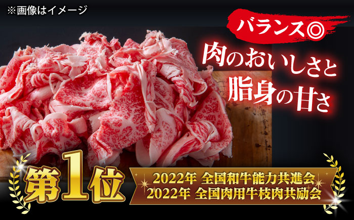 受賞歴多数 しまね和牛 スライス(500g) 島根県松江市/株式会社O.R.C [ALEF061]