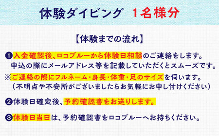 松江で海中散歩♪初心者でも安心の体験ダイビングプラン 島根県松江市/合同会社LOCOBLUE [ALFE001] 体験チケット