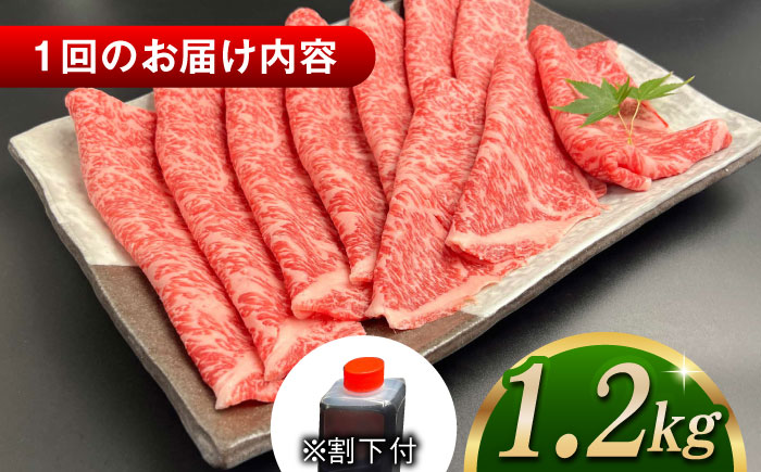 【全3回定期便】その旨味、最上級！「しまね和牛肉」 ロース すき焼き用 約1.2kg 【高級 焼肉勇花理(ゆうかり)】 島根県松江市/有限会社おき精肉店 [ALFT033]