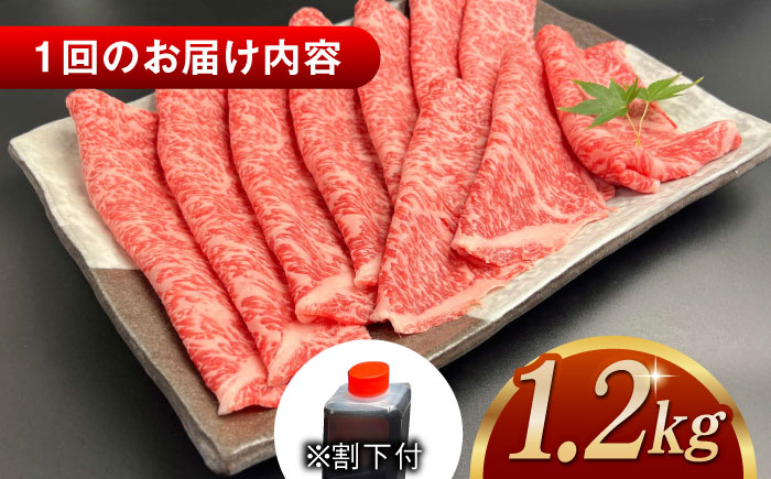 【全6回定期便】その旨味、最上級！「しまね和牛肉」 ロース すき焼き用 約1.2kg 【高級 焼肉勇花理(ゆうかり)】 島根県松江市/有限会社おき精肉店 [ALFT038]