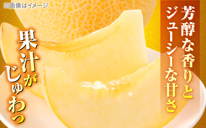 【先行予約】ご縁玉 ゴールデンパールメロン1.3kg×1玉 島根県松江市/有限会社安藤農園 [ALID010]