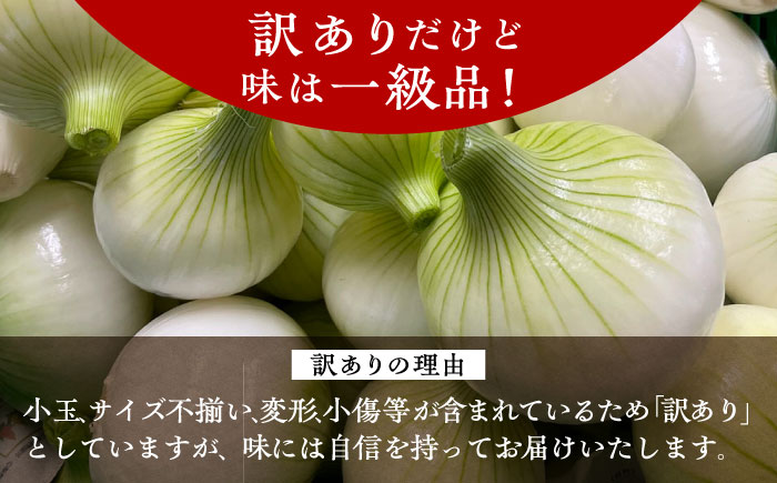 【訳あり】【数量限定30個】【先行予約/2026年6月上旬以降順次発送】美味しまねゴールド認証取得！ 松江市産 春おとずれ新たまねぎ 5kg 島根県松江市/mishiro farm [ALIJ001]