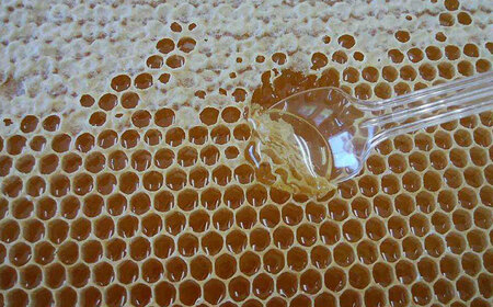 島根はちみつとチョコレートセット 島根県松江市/いち花 [ALAD002] はちみつ チョコ