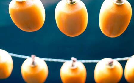 【先行予約】【2025年11月30日より順次発送】【数量限定80個】西条柿のドライフルーツと干し柿L セット 島根県松江市/須山農園 [ALBD002] 柿