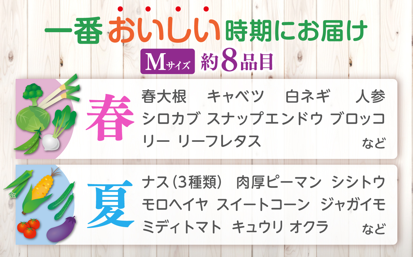 【先行予約】【2027年1月以降発送開始】【全6回定期便】旬の野菜セットMサイズ 島根県松江市/須山農園 [ALBD009]