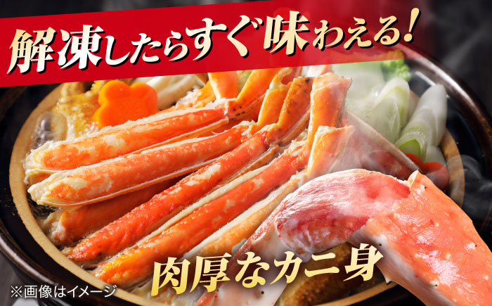 【年内発送】松葉がにボイル姿800g以上(1～2枚) 島根県松江市/中浦食品株式会社 [ALBO002] カニ 蟹