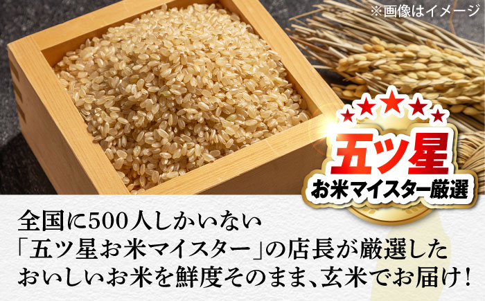 五ツ星お米マイスター厳選【玄米】エコ栽培米 恵の上意東産「コシヒカリ」10kg 島根県松江市/株式会社沼田米穀店 [ALBU002] 米