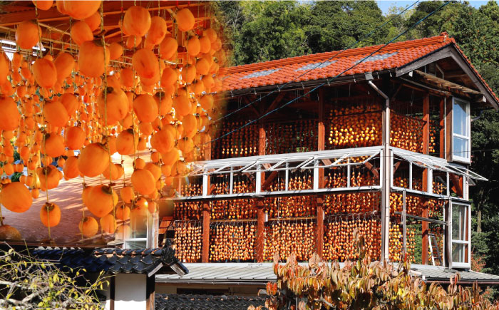 【ふるさと納税限定】東出雲の畑ほし柿 25個入 島根県松江市/畑ほし柿生産組合 [ALBV002] 柿