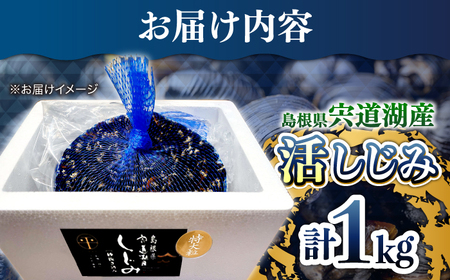 新鮮採れたて！宍道湖産活大和しじみ特大粒1kg(砂はき済み)  島根県松江市/平野缶詰有限会社 [ALBZ022] しじみ