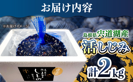 新鮮採れたて！宍道湖産活大和しじみ特大粒 2kg (砂はき済み) 島根県松江市/平野缶詰有限会社 [ALBZ023] しじみ