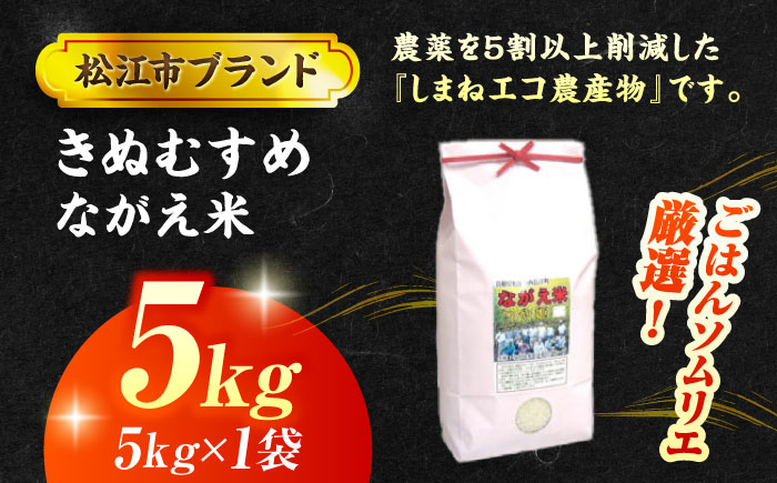 【令和7年産】松江市産きぬむすめ「ながえ米」5kg(5kg×1) 島根県松江市/有限会社藤本米穀店 [ALCG015]