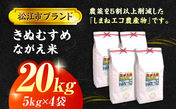 【令和7年産】松江市産きぬむすめ「ながえ米」20kg(5kg×4) 島根県松江市/有限会社藤本米穀店 [ALCG016]