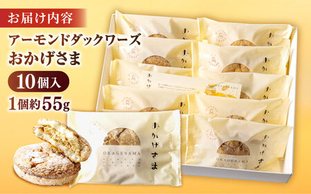 贅沢アーモンドダックワーズ【松江クロードのおかげさま 10個入り】ブッセ 洋菓子 グルテンフリー ギフト プレゼント 島根県松江市/有限会社松江クロード [ALCL003] 焼菓子