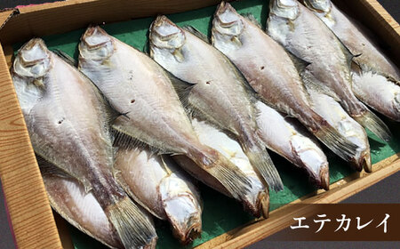 一度食べたらやみつき！恵曇一夜干しセット3種×5尾 島根県松江市/有限会社丸三商店 [ALCP002] 干物
