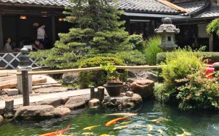 鴨南蛮そばセット5人前 島根県松江市/有限会社八雲庵 [ALCZ001] そば