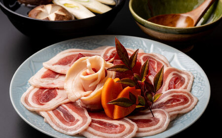 八雲のジビエセット！ やくも猪舞い(スライス詰合せ250g×2)･八雲いのししフランク(3本入) 島根県松江市/八雲猪肉生産組合 [ALDA001] 猪肉