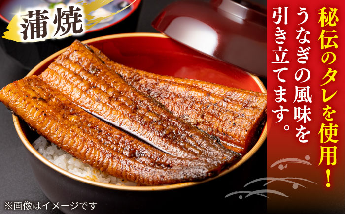 【6回定期便】うなぎ老舗専門店のパリっとふっくら 紅白うなぎ 蒲焼・素焼半身　(真空パック/秘伝のタレ・藻塩付き) 島根県松江市/株式会社山美世商会 [ALDC017]