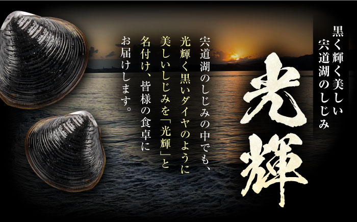 【年内発送】産地直送！宍道湖産 冷凍大和しじみLサイズ1kg(500g×2) 砂抜き処理済 島根県松江市/りすたむMatsue [ALDE006]