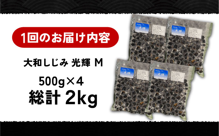 【全3回定期便】産地直送！宍道湖産 冷凍大和しじみMサイズ2kg(500g×4) 砂抜き処理済 島根県松江市/りすたむMatsue [ALDE007]