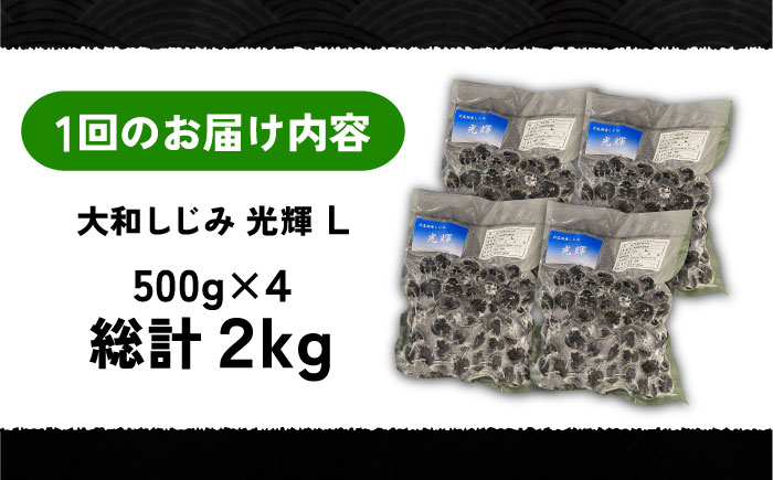 【全12回定期便】産地直送！ 宍道湖産 冷凍大和しじみLサイズ2kg(500g×4) 砂抜き処理済 島根県松江市/りすたむMatsue [ALDE012]