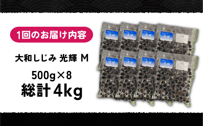 【全6回定期便】産地直送！宍道湖産 冷凍大和しじみMサイズ4kg(500g×8) 砂抜き処理済 島根県松江市/りすたむMatsue [ALDE014]