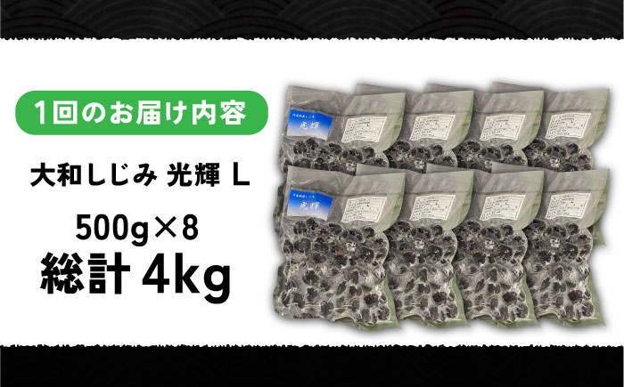 【全3回定期便】産地直送！宍道湖産 冷凍大和しじみLサイズ4kg(500g×8) 砂抜き処理済 島根県松江市/りすたむMatsue [ALDE016]