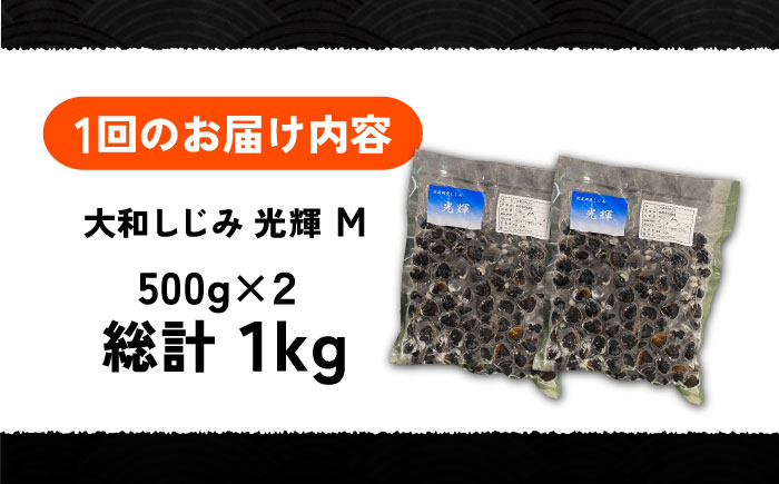 【全6回定期便】産地直送！宍道湖産 冷凍大和しじみMサイズ1kg(500g×2) 砂抜き処理済 島根県松江市/りすたむMatsue [ALDE020]