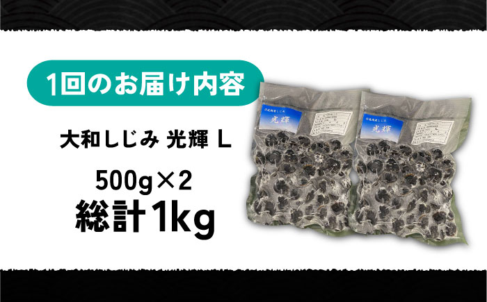 【全3回定期便】産地直送！宍道湖産 冷凍大和しじみLサイズ1kg(500g×2) 砂抜き処理済 島根県松江市/りすたむMatsue [ALDE022]