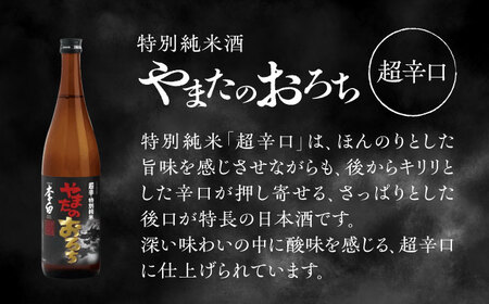 食事を格上げする一杯！李白【特別純米】やまたのおろち 辛口・超辛口720ml×2本セット 島根県松江市/李白酒造有限会社 [ALDF002] お酒