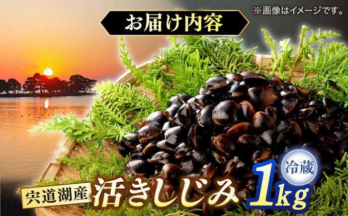 砂抜き不要！宍道湖産 活ヤマトシジミ 生しじみ 1kg 島根県松江市/株式会社漁師村 [ALDN005]