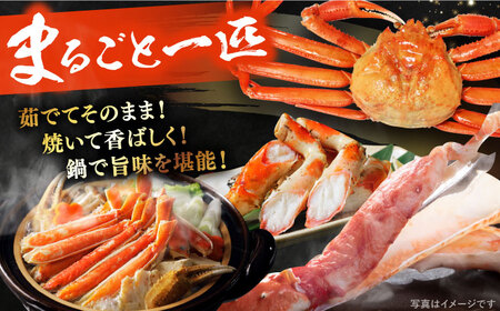 【期間限定・先行予約】冬の味覚の代表格！松葉ガニ 4枚 島根県松江市/フジキコーポレーション株式会社 [ALDS019] カニ 蟹