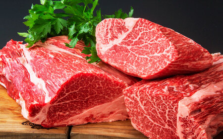 極上厳選！受賞歴多数 ヒレステーキ(500g) 島根県松江市/株式会社O.R.C [ALEF001] 牛肉