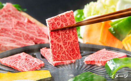 極上厳選！受賞歴多数 しまね和牛 焼肉セット 部位3種(1kg) 島根県松江市/株式会社O.R.C [ALEF003] 牛肉