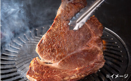 極上厳選！受賞歴多数 しまね和牛 ステーキ(500g) 島根県松江市/株式会社O.R.C [ALEF010] 牛肉