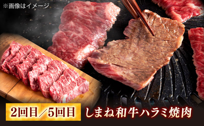 【全6回定期便】叉鬼の焼肉酒場こだわりセット！（しゃぶしゃぶ/すき焼き・ハラミ・牛タン）計3.2kg　島根県松江市/株式会社O.R.C [ALEF013]